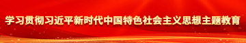 鸡巴插逼细节视频学习贯彻习近平新时代中国特色社会主义思想主题教育